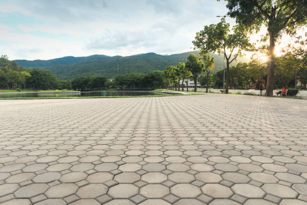 Best Concrete Paver Driveway  in Evadale, TX
