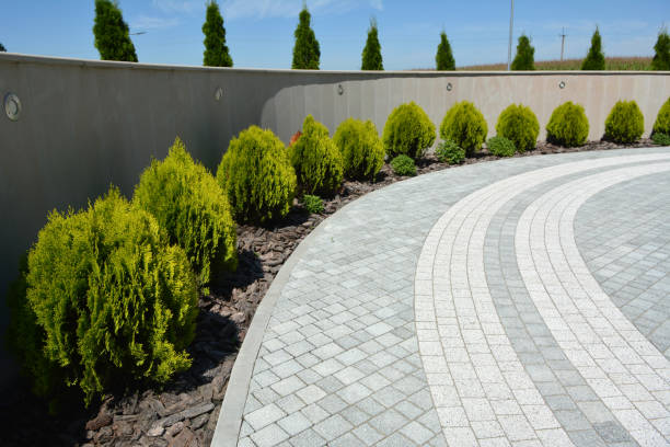 Best Best Driveway Pavers  in Evadale, TX